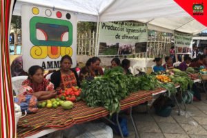 Lee más sobre el artículo Feria Municipal de Seguridad y Soberanía Alimentaria